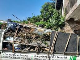 Best Dumpster Rental Services  in Clarkston, GA